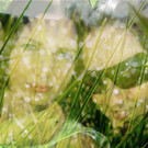 Foto61.JPG
