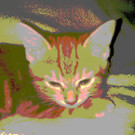 IMAG0037.jpg