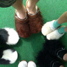 IMAG0053.jpg