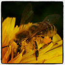 IMG_20120509_091624.jpg