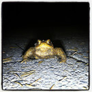 IMG_20120509_134856.jpg