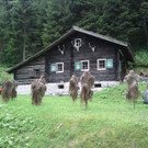 mathiaserhard6.jpg