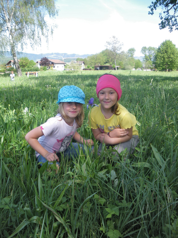 Aufr__umen am Naturtag 022.jpg