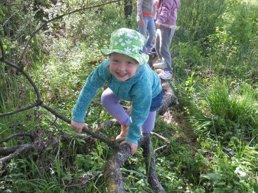 Aufr__umen am Naturtag 008.jpg