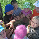 Aufr__umen am Naturtag 044.jpg