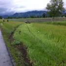 Foto6.jpg