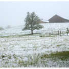Winter im Mai 2012