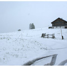 DSC05000.JPG