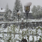 Schnee: Bilder unserer User