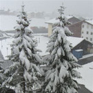 CIMG0056.JPG