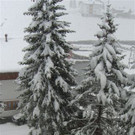 CIMG0057.JPG