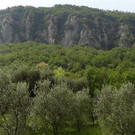 DSC05091 _Mittel__JPG-1337193401