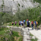 P1010920 _Gro___ _Mittel__JPG-1337193409