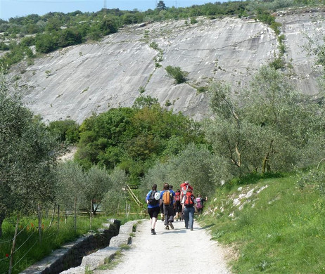 P1010922 _Gro___ _Mittel__JPG-1337193413