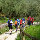 P1010923 _Mittel__JPG-1337193417