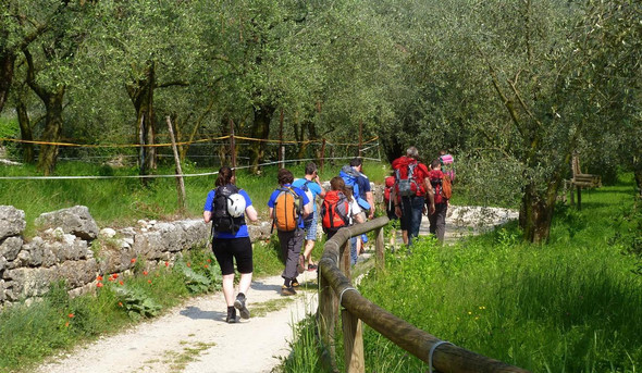 P1010923 _Mittel__JPG-1337193417