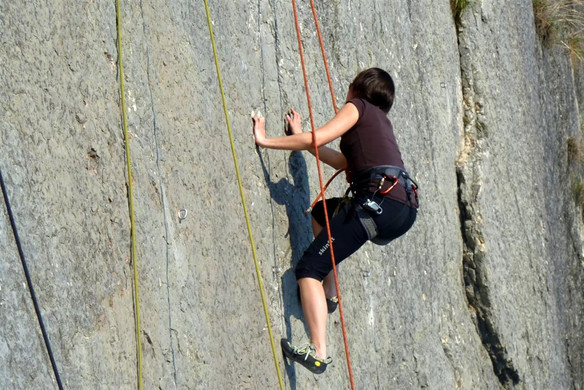 P1010930 _Mittel__JPG-1337193427