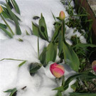 CIMG0074.JPG