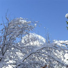 CIMG0077.JPG