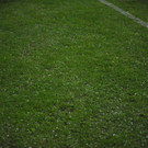normal_16052012austriaat04002aktivnews008.jpg
