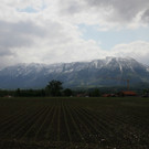 IMG_0212 Kopie.jpg