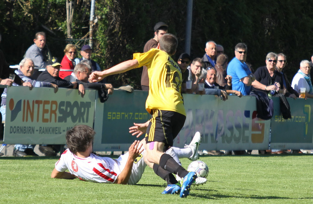 Rankl - Hoechst  2012 012.jpg