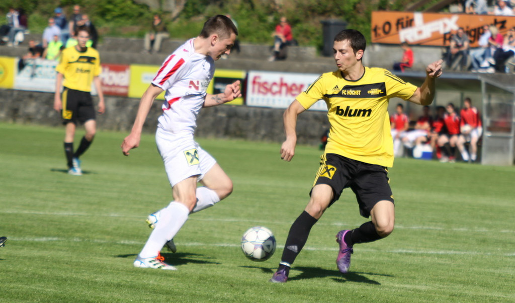 Rankl - Hoechst  2012 090.jpg