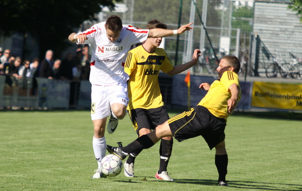 Rankl - Hoechst  2012 105.jpg