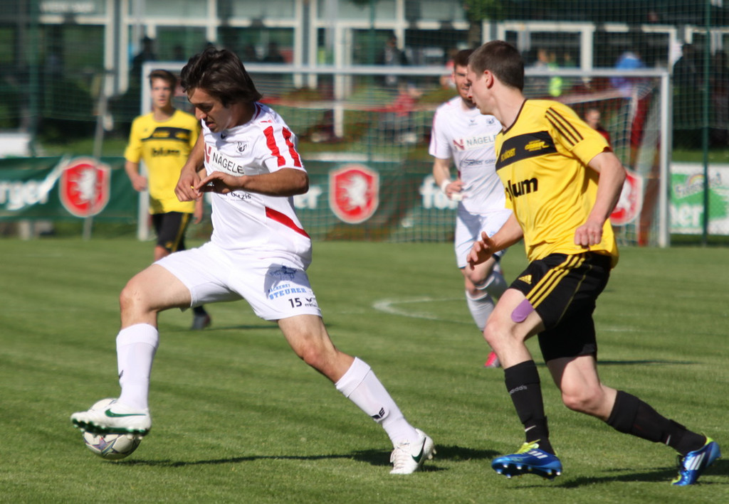 Rankl - Hoechst  2012 131.jpg