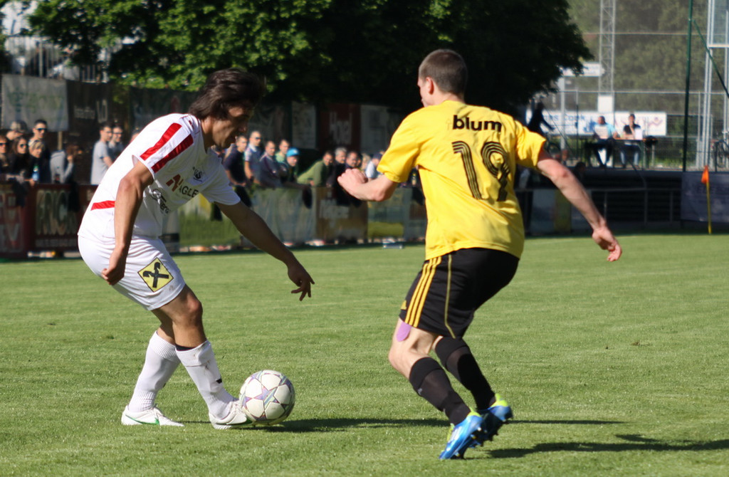 Rankl - Hoechst  2012 141.jpg