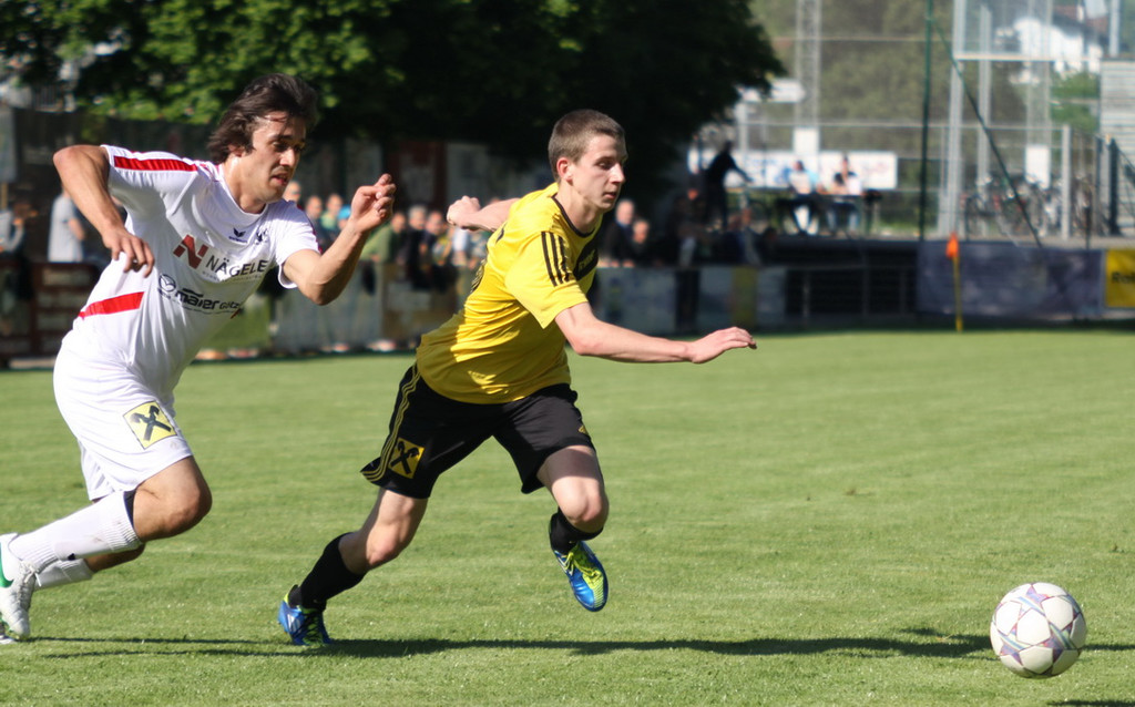 Rankl - Hoechst  2012 145.jpg