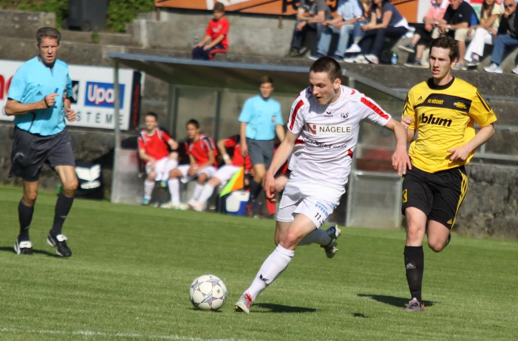 Rankl - Hoechst  2012 167.jpg