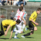 Rankl - Hoechst  2012 199.jpg