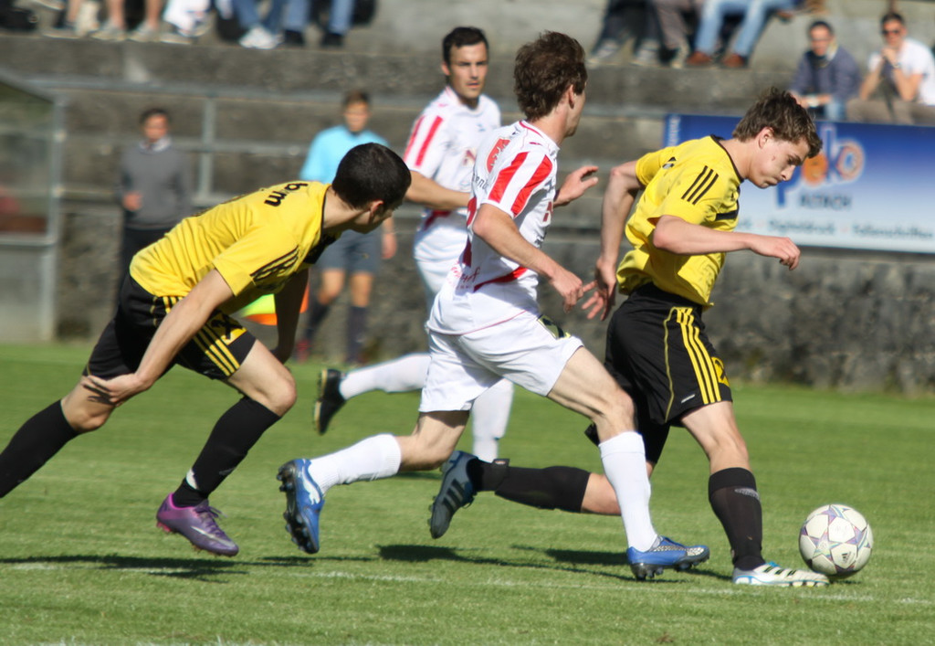 Rankl - Hoechst  2012 200.jpg