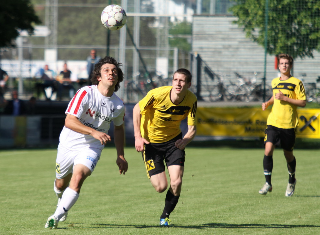 Rankl - Hoechst  2012 214.jpg