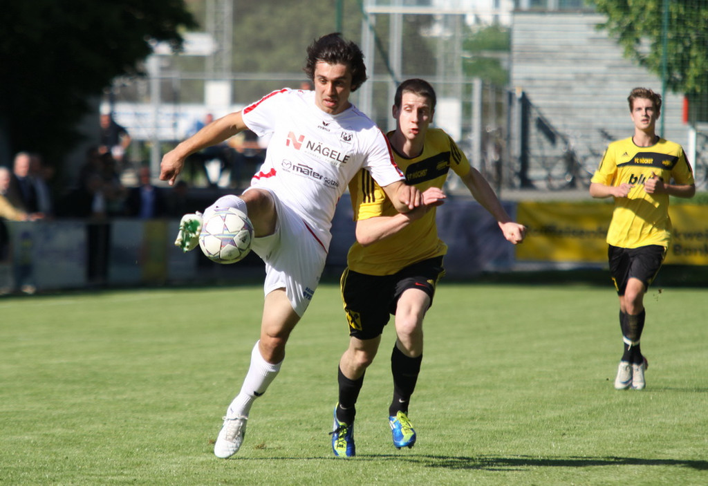 Rankl - Hoechst  2012 216.jpg