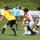 Rankl - Hoechst  2012 294.jpg