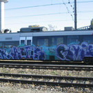 Sprayer in Wiener Neustadt verhaftet