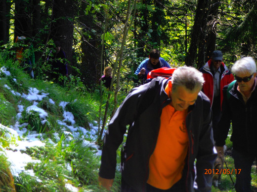 P5170003_JPG-1337342070