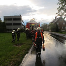 IMG_5067_jpg-1337346372