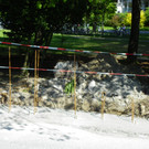 114_5674_JPG-1337381602