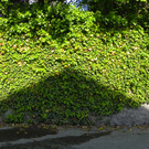 114_6693_JPG-1337383023