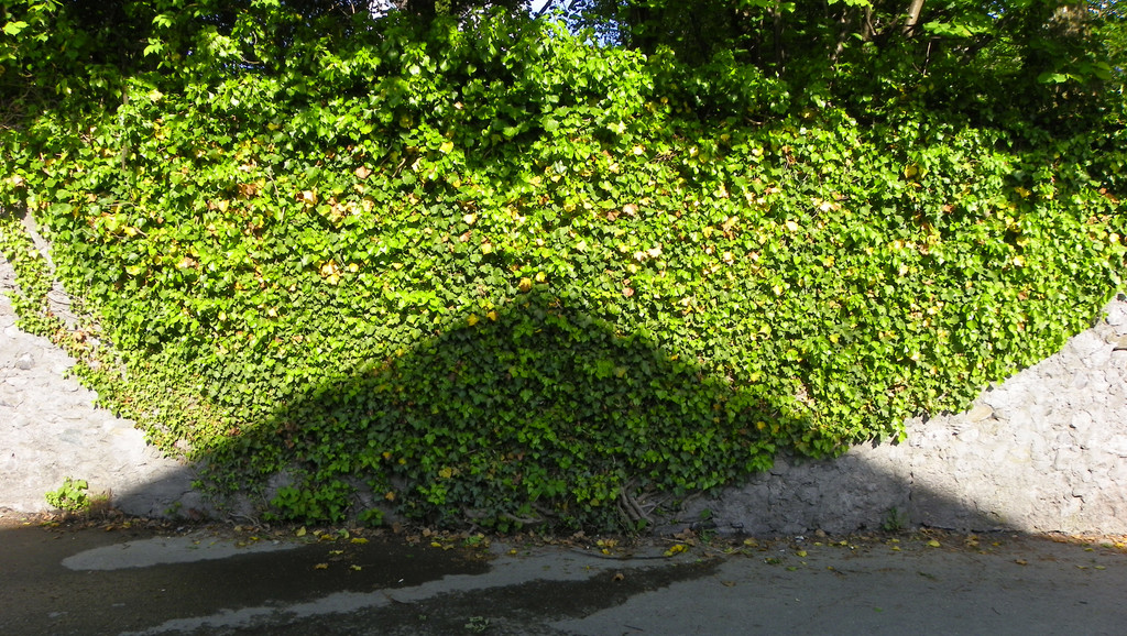 114_6693_JPG-1337383023