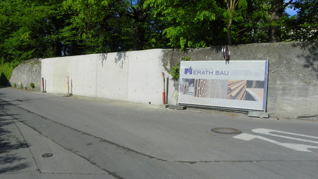 114_6696_JPG-1337383145