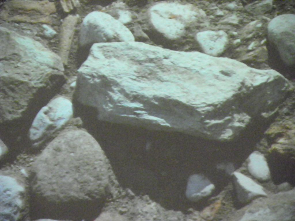 114_7689_JPG-1337386400