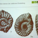 114_7682_JPG-1337386388