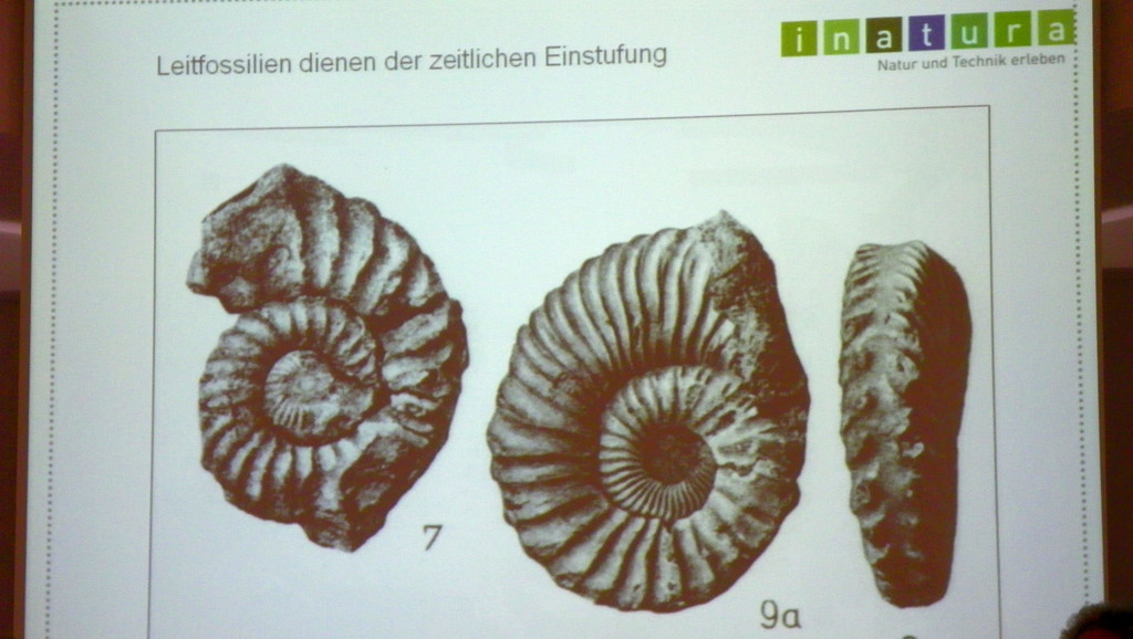 114_7682_JPG-1337386388