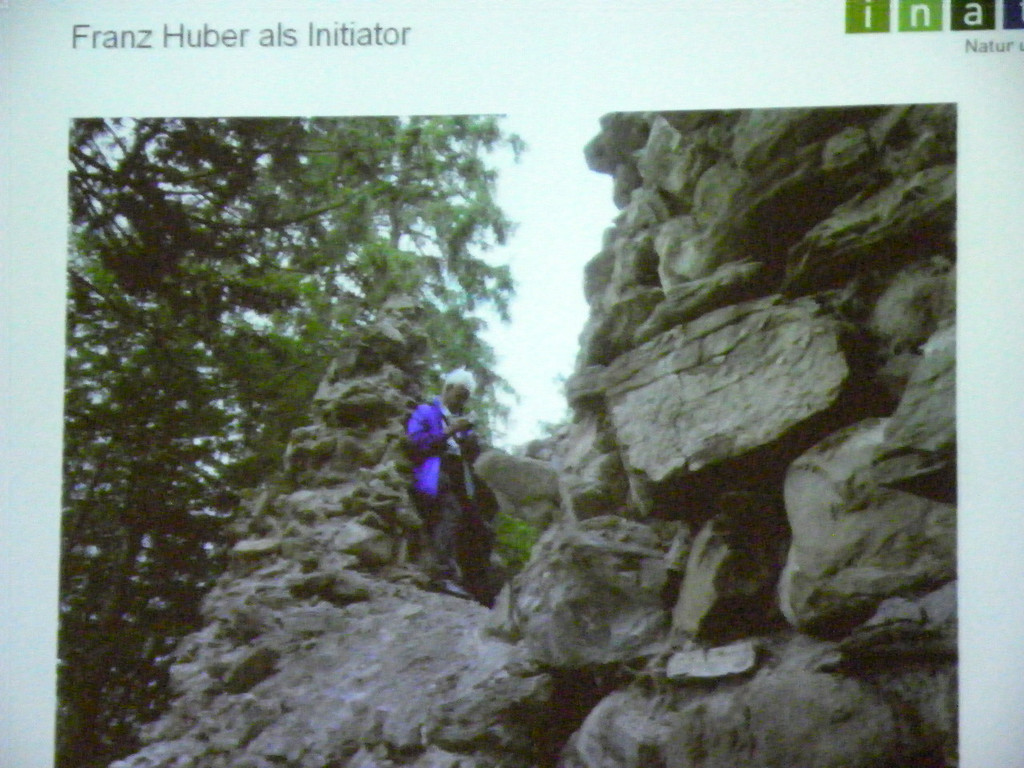 114_7704_JPG-1337386418