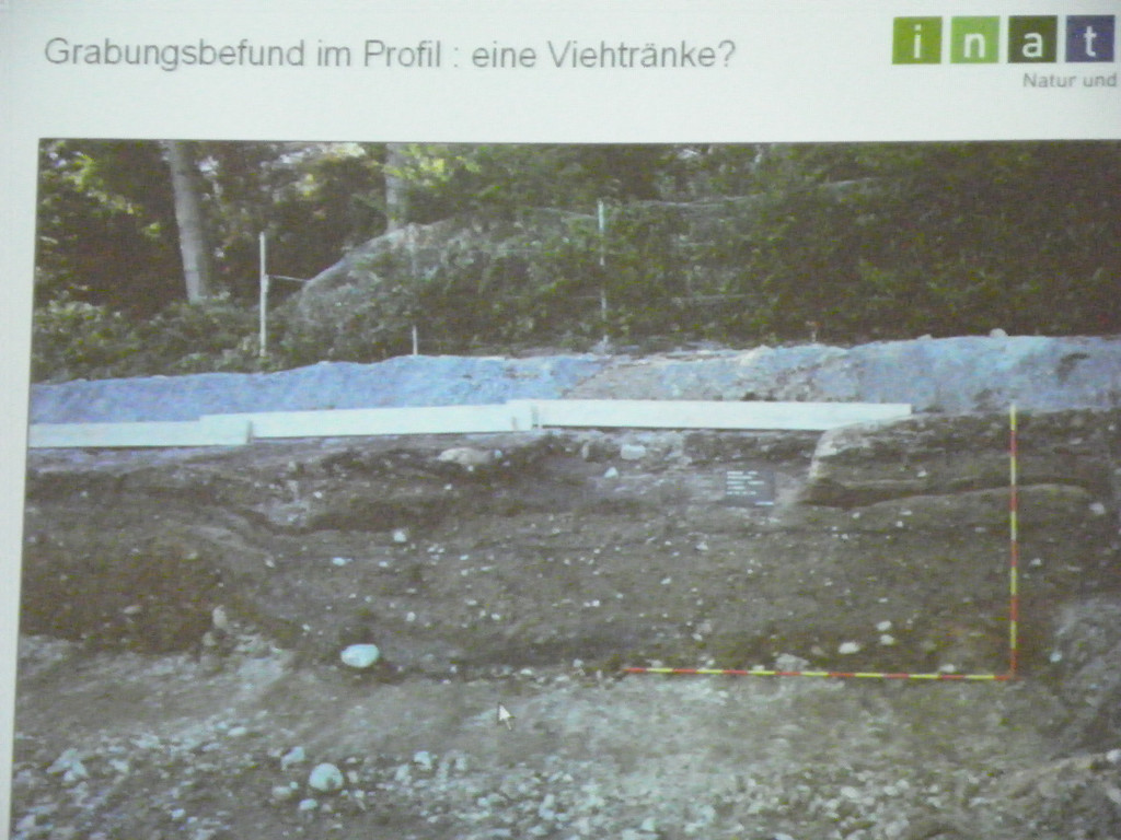 114_7692_JPG-1337386412