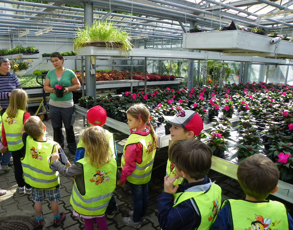 114_6863_JPG-1337386723